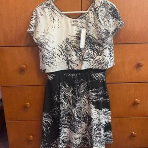 NWT black and white Laura Petite Dress